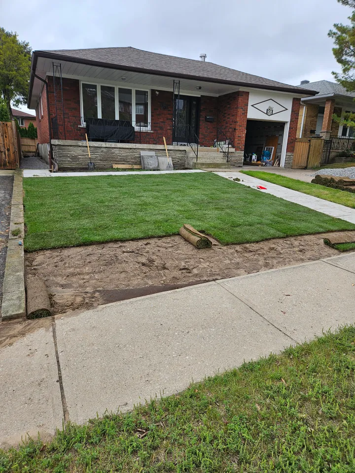 Front yard during sod installation, with rolls of turf and an unfinished soil strip beside the sidewalk.